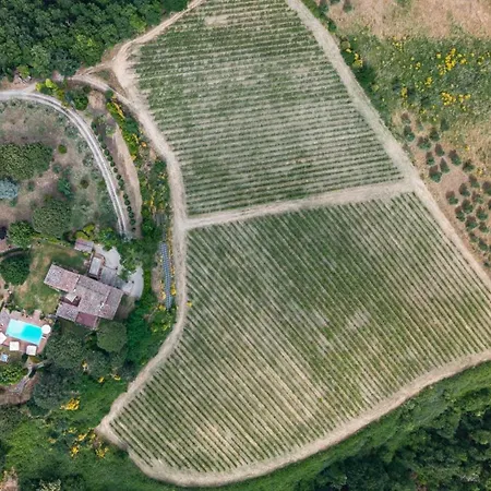 Villa Tenuta Altaluce *